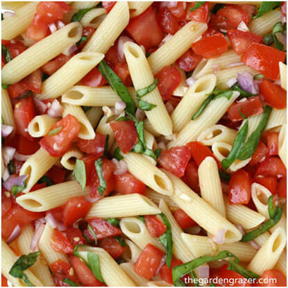 Make and enjoy Fresh Tomato Basil Pasta and 9 other recipes featuring tomatoes.