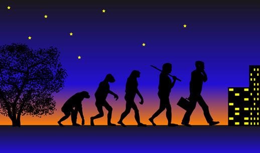 The Evolution of the Paralegal Profession