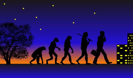 The Evolution of the Paralegal Profession The Evolution of the Paralegal Profession