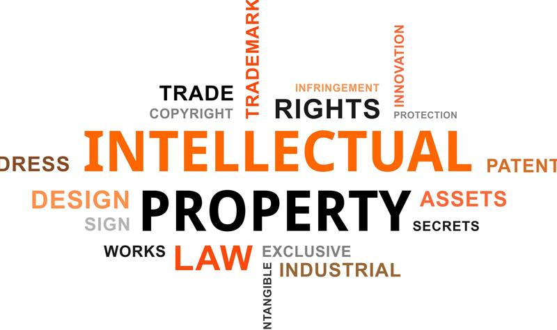 What Does the Term Intellectual Property Law Mean? What Does the Term Intellectual Property Law Mean?