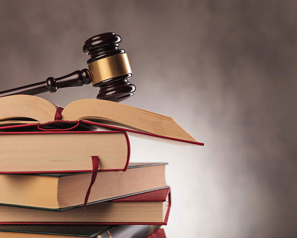 The Role of Law Students in Promoting Access to Justice: Strategies for Empowerment and Advocacy The Role of Law Students in Promoting Access to Justice: Strategies for Empowerment and Advocacy