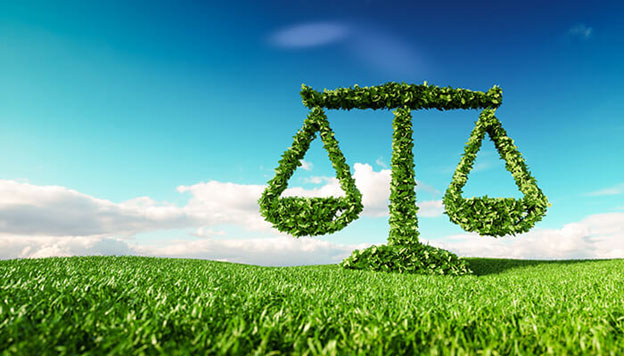 The Growing Importance of Environmental Law: Opportunities and Challenges The Growing Importance of Environmental Law: Opportunities and Challenges