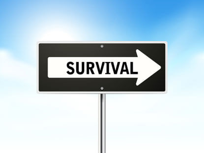 A Paralegal’s Survival Guide in a Law Firm Environment