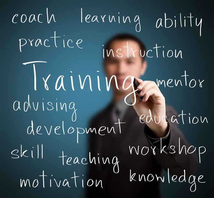 Leveraging Group Dynamics in Employee Training
