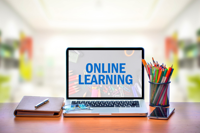 The Emergence of Online Learning in the Legal World