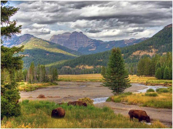 Visit Glacier National Park and these 9 other beautiful National Parks you shouldn’t miss.