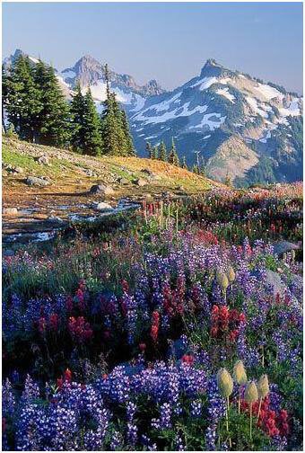 My Travel Bucket List: 10 Places You Should Definitely Visit During Your Lifetime