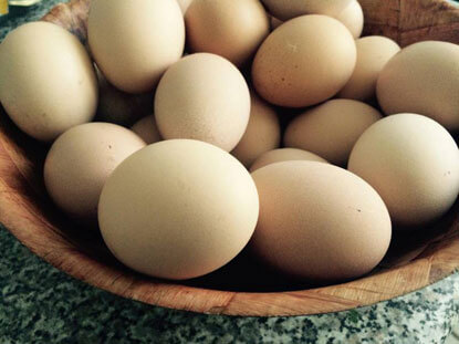 Enjoy these 8 high protein snacks that will keep you full.