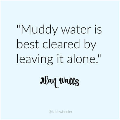 Muddy water is best cleared by leaving it alone. – Alan Watts